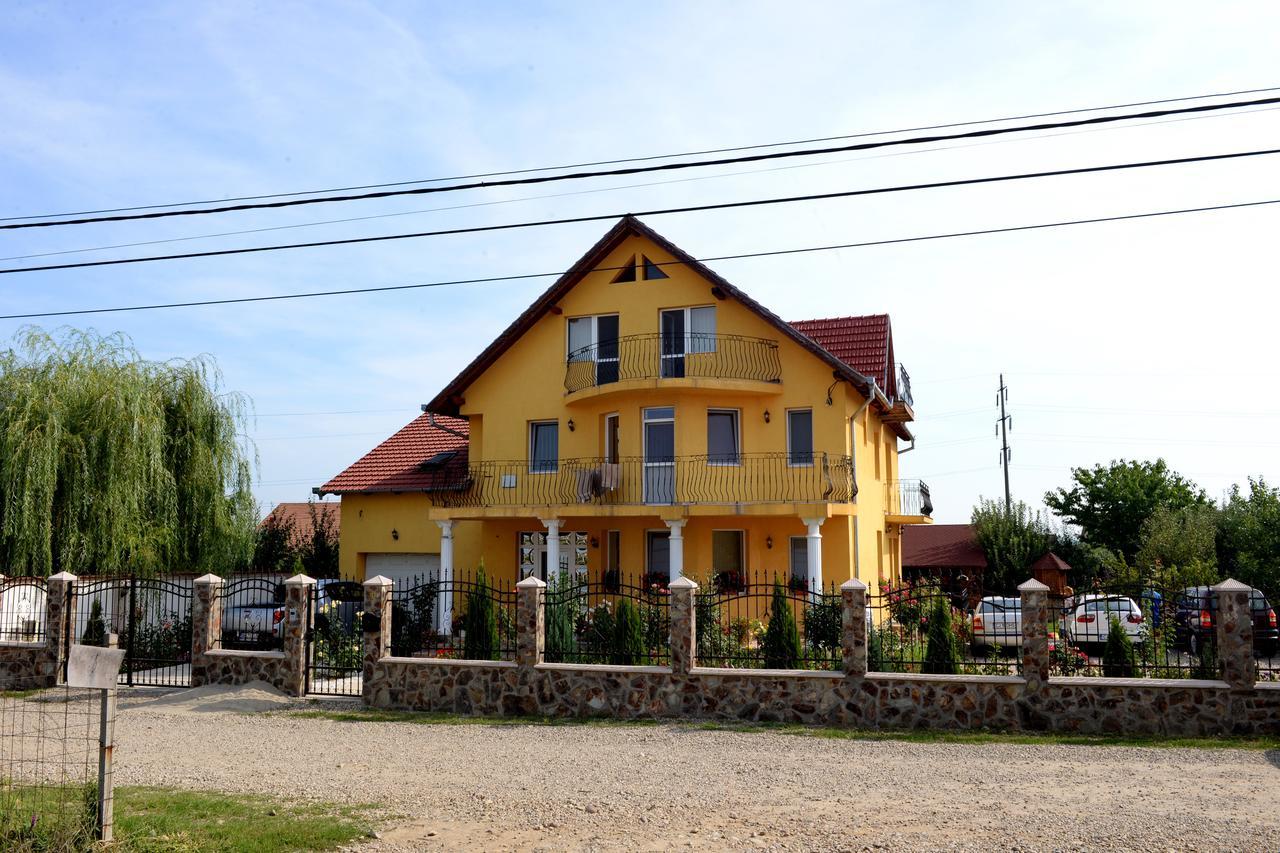 Hotel Casa Flora à Sînmartin Extérieur photo